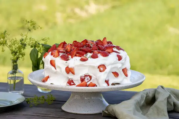 En härlig sommarskuggan tårta med vispgrädde och färska jordgubbar, redo att avnjutas utomhus i det gröna.