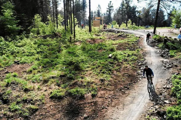 Rowerzyści pokonują kręte trasy rowerowe Bielsko w otoczeniu leśnej zieleni.