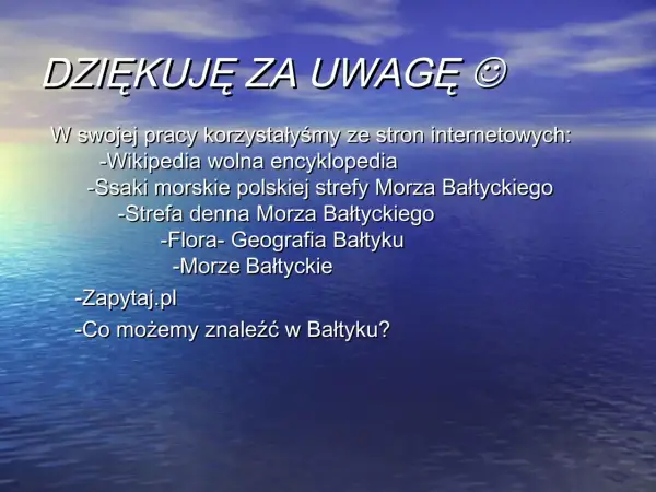Czym jest morze? Definicja, różnice i ochrona Bałtyku