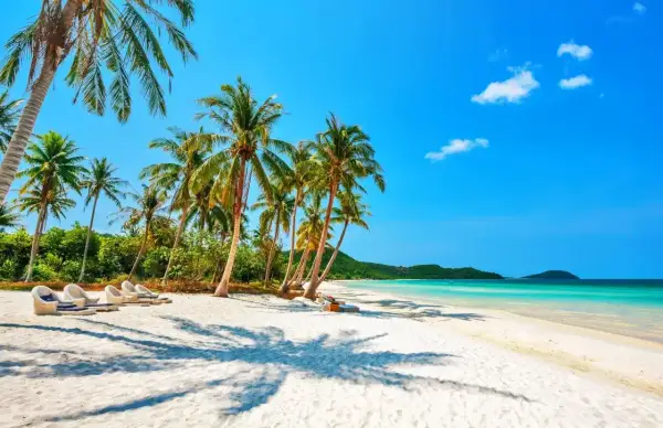 Idealne miejsce, gdzie na wakacje w październiku: piaszczysta plaża, palmy, turkusowa woda i leżaki czekają na Ciebie.