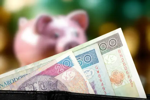 Pieniądze w portfelu i różowa świnka skarbonka. Zastanawiasz się, jak wypłacić pieniądze z PPK?