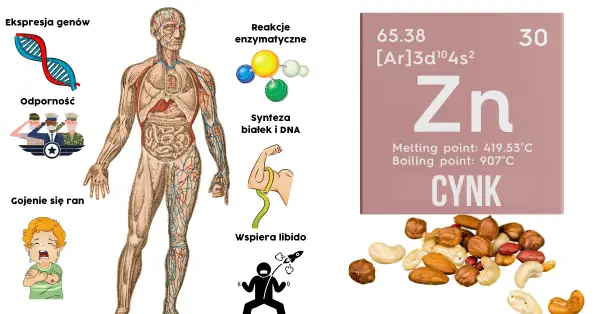 Cynk lek na co pomaga – odkryj jego niezwykłe właściwości zdrowotne