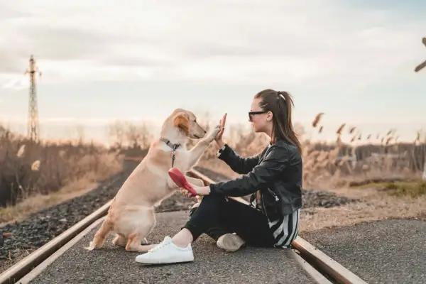 Joven da la mano a su perro en las vías del tren. Una escena que evoca la idea de cuidar mascotas a cambio de alojamiento, un viaje inesperado.