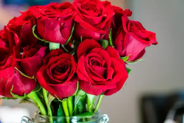 Bukiet czerwonych róż w wazonie. Zastanawiasz się, ile róża wytrzyma bez wody, gdy jest tak piękna?