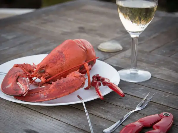 En hel, röd hummer på en tallrik, redo att avnjutas med ett glas vitt vin. Perfekt för en sommarkväll.