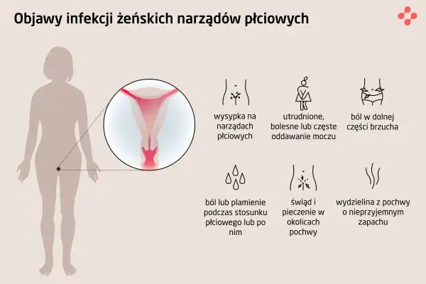 Objawy infekcji narządów płciowych: wysypka, ból brzucha, problemy z oddawaniem moczu, świąd, pieczenie, ból podczas seksu. Choroby weneryczne mogą objawiać się podobnie.