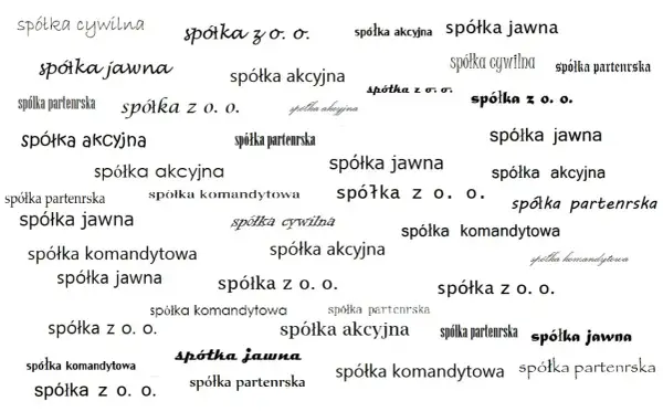 Różne rodzaje spółek: spółka jawna, akcyjna, z o.o., komandytowa, cywilna, partnerska.