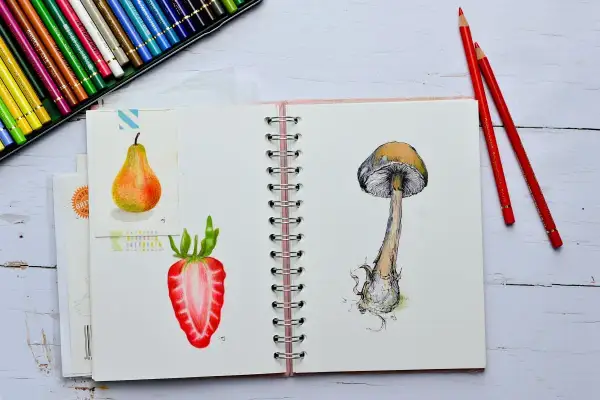 Un quaderno aperto mostra un disegno di una fragola tagliata e un fungo. Matite colorate e pastelli sono pronti per dipingere e disegnare.