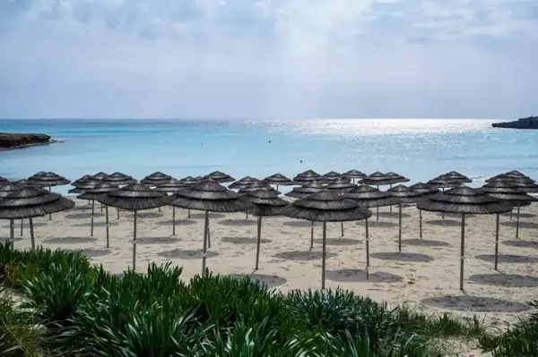 Pusta plaża na Cyprze w maju, rzędy parasoli z trawy czekają na turystów. Piękna pogoda cypr maj.