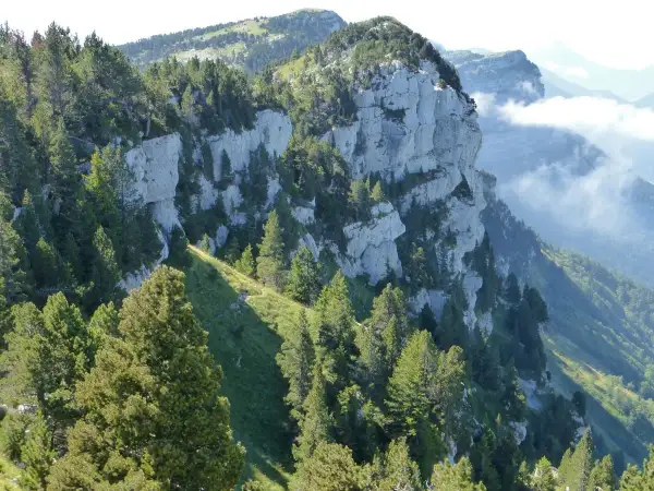 Sentier de rando en montagne, falaises calcaires abruptes et sapins verdoyants. Un paysage grandiose pour une belle rando.