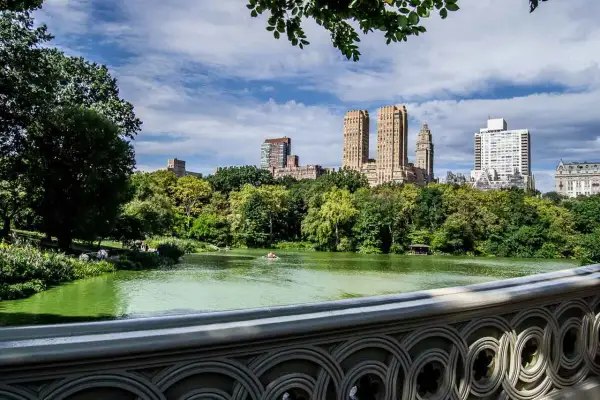 Central Park w Nowym Jorku. Jezioro z łódką, otoczone zielenią, z wieżowcami w tle.