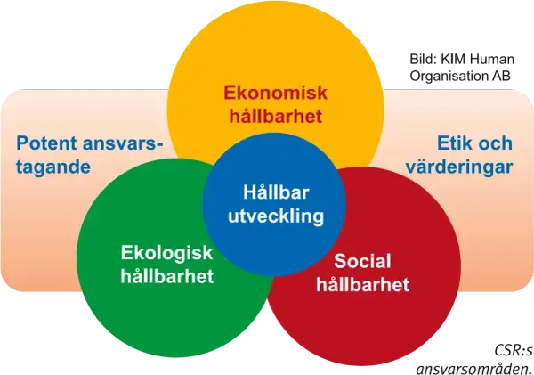 Diagram som visar att hållbar utveckling bygger på ekonomisk, ekologisk och social hållbarhet, samt etik och värderingar.