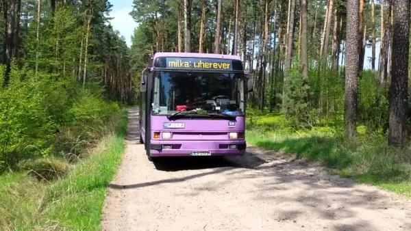 Jak oznakować holowane auto? Uniknij mandatu i jedź bezpiecznie!