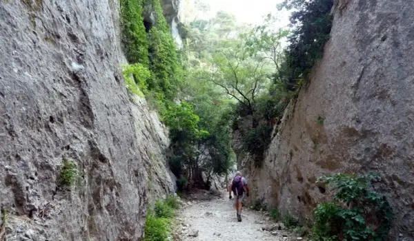 Randonneur seul dans les gorges du Récalon, chemin rocailleux bordé de falaises abruptes et de végétation luxuriante. Fermeture du sentier annoncée.