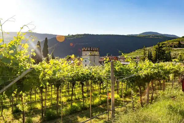 Vigneti rigogliosi illuminati dal sole, con un borgo e una torre medievale sullo sfondo. Un luogo incantevole per scoprire cosa vedere a Fumane.