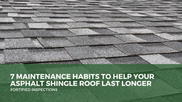 Close-up of a grey asphalt shingle roof, showing texture and overlap. Text reads: "7 Maintenance Habits to Help Your Asphalt Shingle Roof Last Longer.