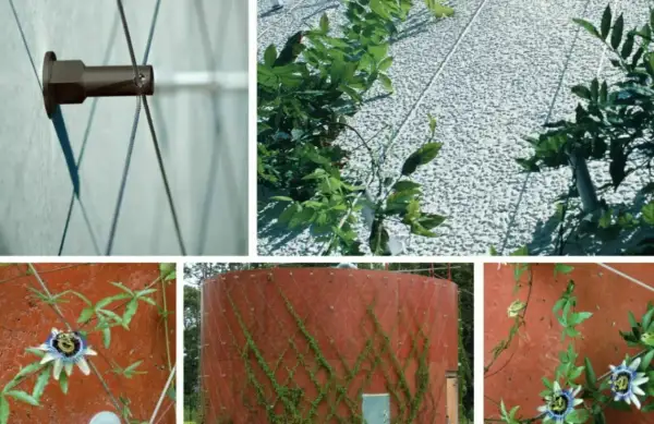 Système de câbles pour fabriquer un support plante grimpante. Des fixations murales et des câbles tendus guident la croissance des plantes sur des façades.