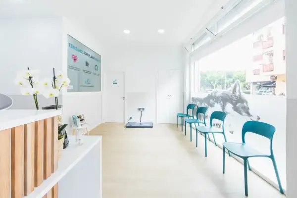 Clínica veterinaria Los Cuartos: servicios, opiniones y ubicación