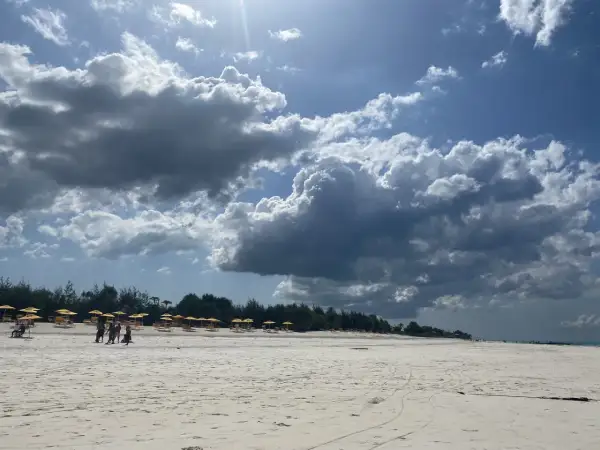 Zanzibar: Ile kosztuje dom marzeń? Koszty budowy i pułapki