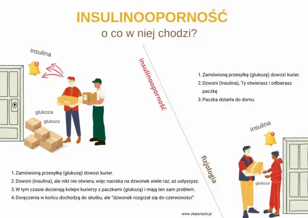 Ilustracja wyjaśnia insulinooporność objawy: kurierzy z glukozą nie mogą się dodzwonić, bo insulina nie działa.
