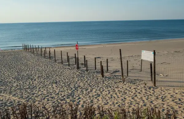 Plaża z siatką i znakiem stop, wyznaczająca granicę polsko rosyjską. Morze w tle.