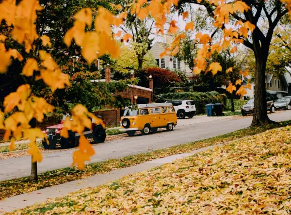 Herbstliche Reiseziele in Europa mit dem Auto: Ein gelber VW-Bus und ein Jeep parken auf einer Straße, gesäumt von bunten Herbstblättern.