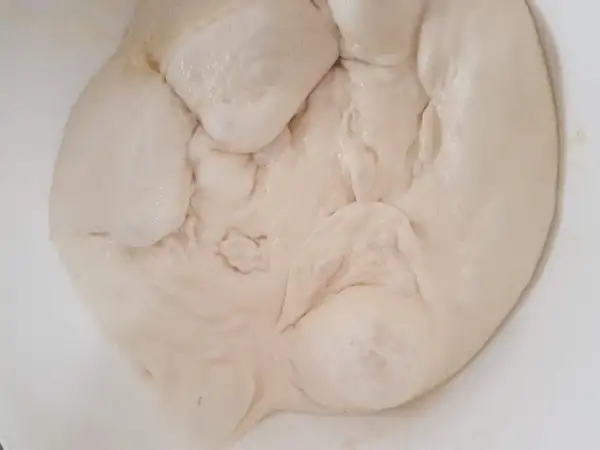 Impasto soffice in ciotola, pronto per la lievitazione in forno a 40 gradi. Quanto tempo ci vorrà?