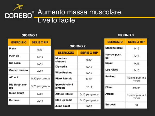 Programma di allenamento a casa per aumentare la massa muscolare, livello facile. Giorni 1, 2 e 3 con esercizi e serie.