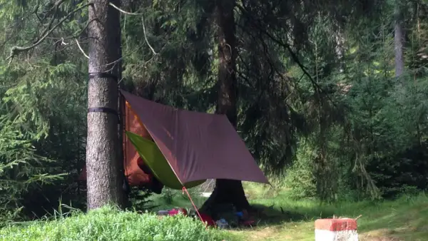 Zadaszenie namiotu z zielonej i brązowej plandeki, zawieszone między drzewami w lesie. Pod nim leżą śpiwory i plecaki.