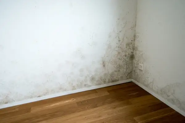 Esquina de habitación con moho en la pared, indicando la necesidad de saber como aislar una pared de la humedad.