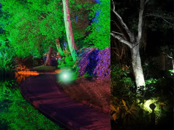 Magiczny park nocą. Oświetlenie drzew od dołu tworzy surrealistyczny, kolorowy krajobraz z zielenią, fioletem i białym światłem.