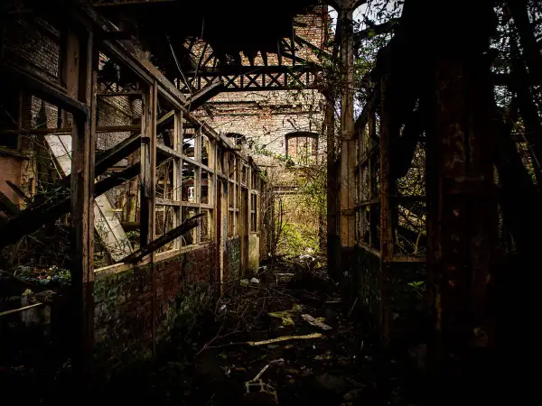 Intérieur délabré d'une usine abandonnée, vestige d'un **urbex Bourges**. Végétation envahissante, poutres rouillées et murs de briques en ruine.