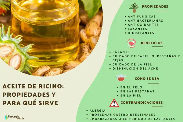Aceite de ricino para el pelo, con sus semillas y propiedades. Ideal para cuidado capilar, pestañas y piel.