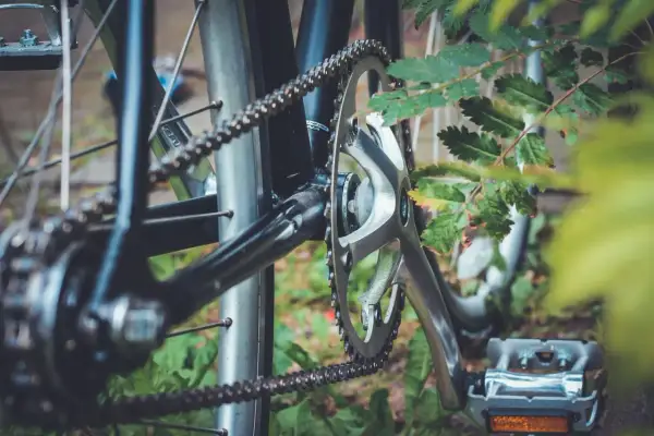 Jak dobrać łańcuch do roweru? Detal napędu rowerowego z widoczną zębatką i łańcuchem, otoczony zielenią.