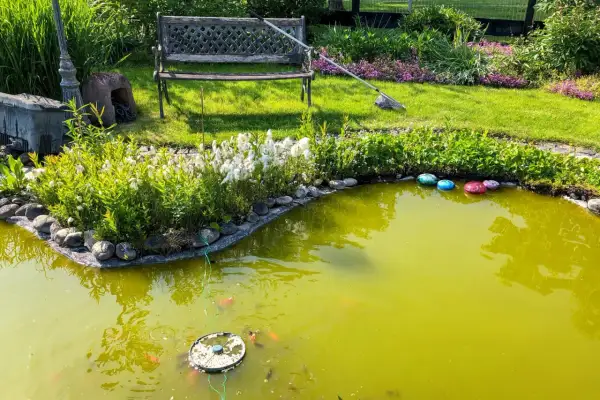 Un étang verdâtre, peut-être à cause d'algues, avec des poissons rouges, des nénuphars et des galets colorés. Un banc et un lampadaire ornent le jardin.