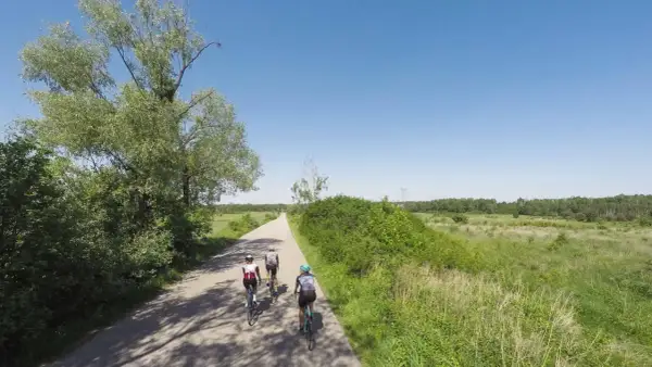 Trzech rowerzystów przemierza gazy trasę rowerową wśród zieleni i pól.