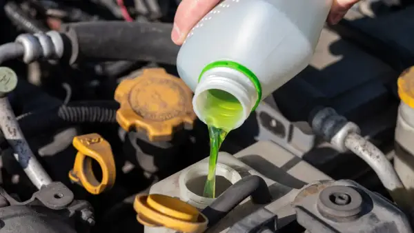 Main verte versée dans le réservoir, assurant le bon niveau liquide de refroidissement du moteur.