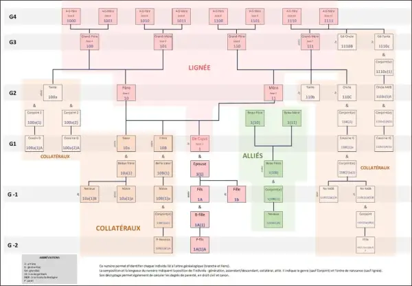Arbre généalogique complexe, montrant la lignée, les alliés et les collatéraux. Les numéros indiquent la position de chaque individu, utile pour les archives départementales 58 recensement.