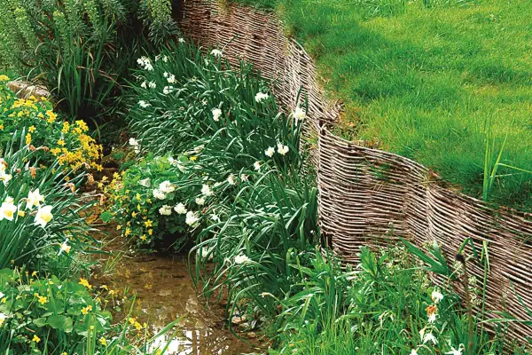 Plantes de berges de rivières en fleurs, jonquilles et petites fleurs jaunes, bordées par une tresse de bois.