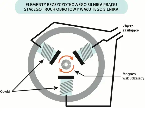 Schemat bezszczotkowego silnika prądu stałego: cewki, magnes wzbudzający i złącza zasilające tworzą mechanizm obrotowy.