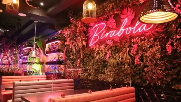 Un interior vibrante con un letrero de neón "Pirabola" sobre una pared de vegetación exuberante. Mesas y asientos de estilo cabina crean un ambiente acogedor, ideal para descubrir restaurantes originales en Zaragoza.