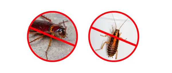 Dwa karaluchy w czerwonych kółkach z przekreśleniem. Skuteczna walka z insektami dzięki deltametrynie.