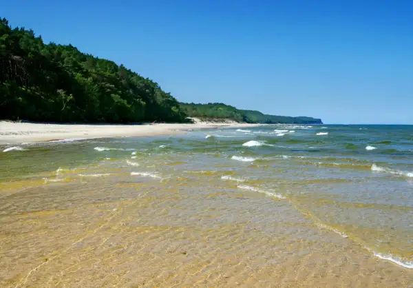 Piękne, dzikie plaże w Polsce. Spokojne fale Bałtyku obmywają piaszczysty brzeg, a las sosnowy tworzy zieloną ścianę w tle.