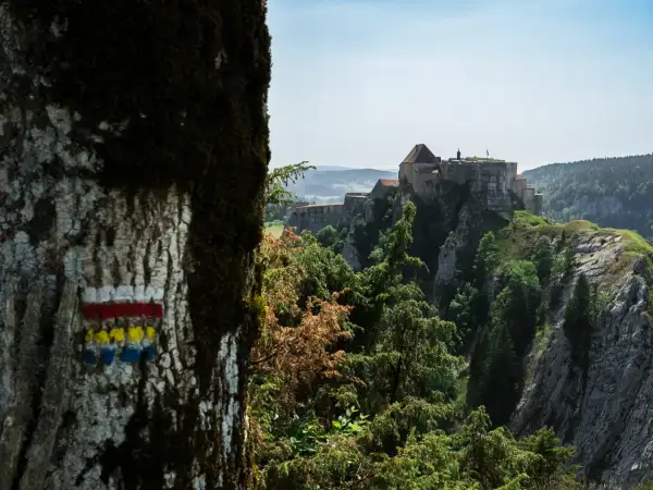 Marqueurs de sentier sur un arbre, indiquant le chemin vers un château perché sur une falaise. Quel est le gr le plus difficile à atteindre ?