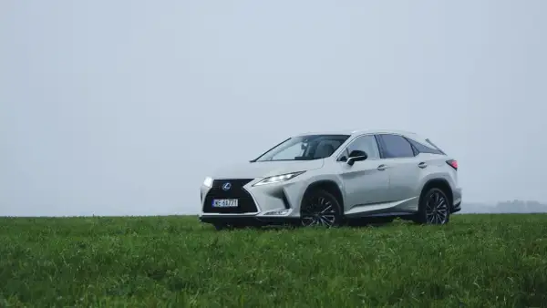 Srebrny Lexus RX 450h na tle zielonej łąki i mglistego nieba. Elegancki SUV gotowy na każdą podróż.