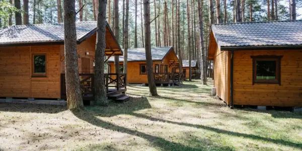 Drewniane domki w lesie, idealne na tanie domki na Mazurach. Słońce przebija się przez sosny, tworząc cień na trawie.