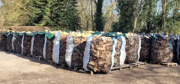 Reihenweise Säcke mit gespaltenem Brennholz, bereit zum Trocknen. Die Frage "wie lange holz trocknen" beschäftigt jeden, der diesen Anblick sieht.