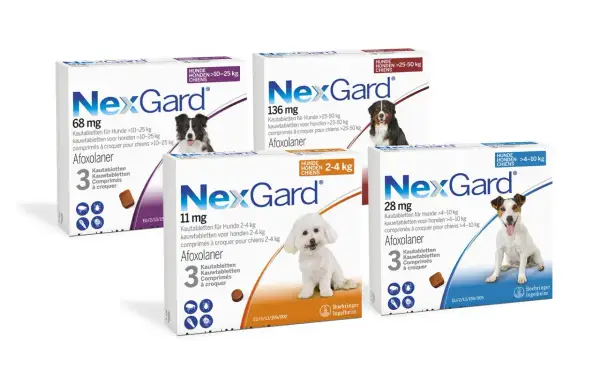 NexGard Kautabletten für Hunde, die Zecken und Flöhe bekämpfen. Afoxolaner ist der Wirkstoff. NexGard hund giftig? Nein, bei korrekter Anwendung sicher.