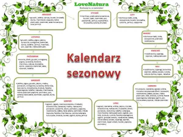 Kiedy sezon na cukinie? Lipiec i sierpień smak i oszczędność