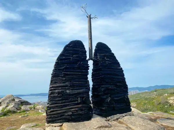 Escultura de pulmones de madera quemada en el Castro de Chandebrito, con un árbol brotando en el centro.